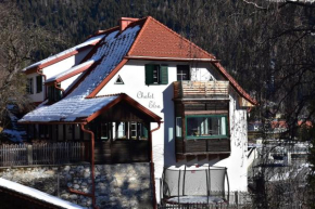 Chalet Elsa Murau Austria